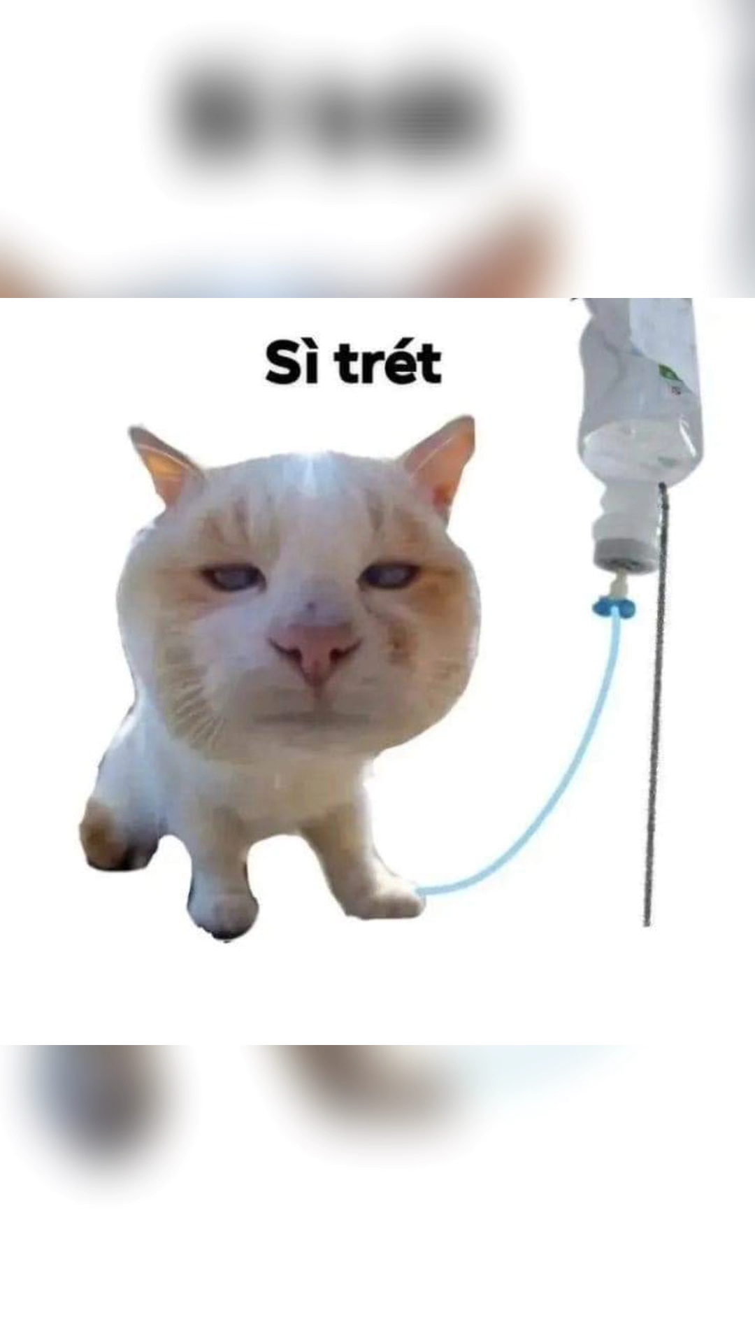 Test 2